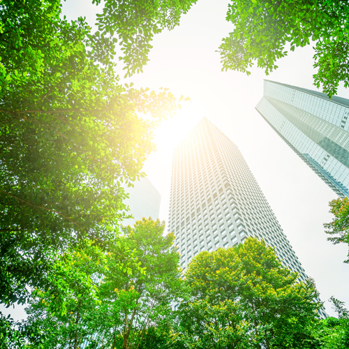 what is carbon footprint